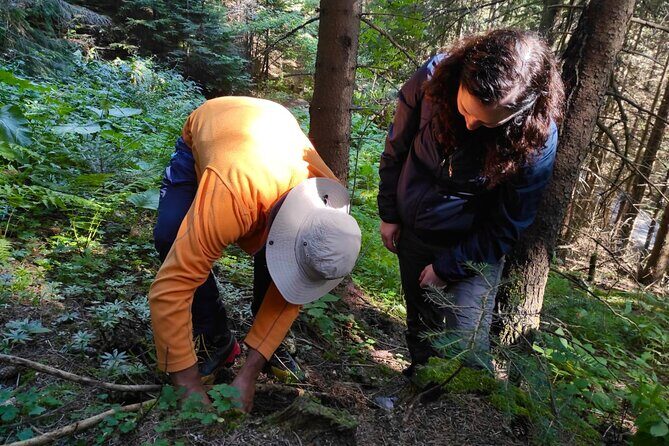 Culinary Adventure To The Fungi And Botanical Kingdom Of Bulgaria - Why Lozen Mountain makes sense for a mushroom-and-herb foodie day