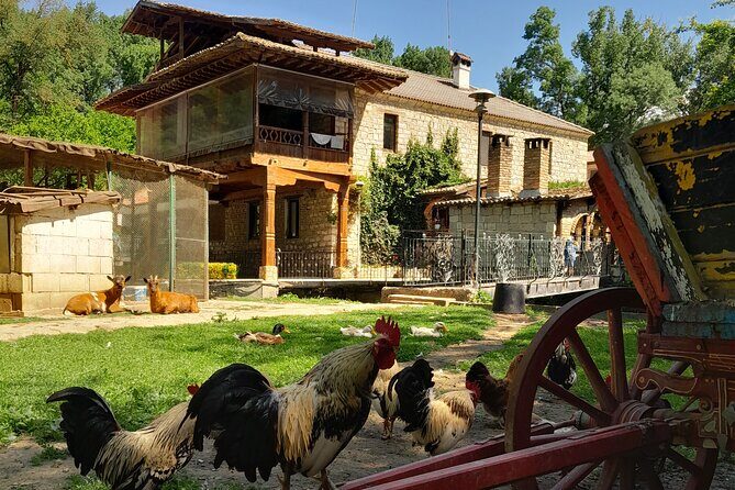 Full-Day Small-Group Tour of Bulgaria by Minivan with Lunch - Dormition of the Mother of God Church: Orthodox Traditions Before You Go In