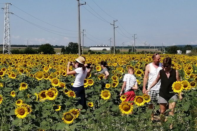 Full-Day Small-Group Tour of Bulgaria by Minivan with Lunch - Passing Varna’s Central Market From the Road