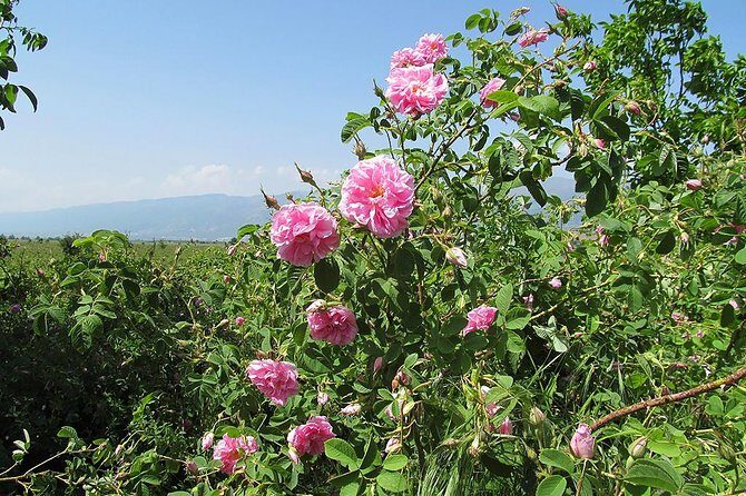 Kazanlak-Rose Valley-Valley of the Thracian Kings - private tour from Plovdiv - Thracian Tomb of Kazanlak (replica): UNESCO frescoes without the closed original