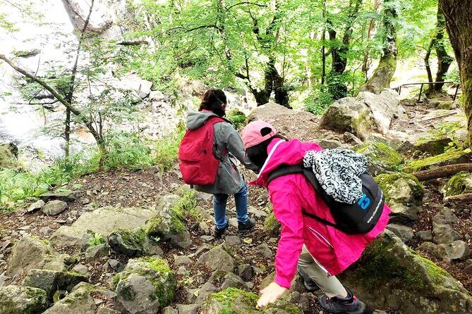 Mt. Vitosha and Boyana Waterfall Hiking Tour from Sofia - Key highlights worth knowing