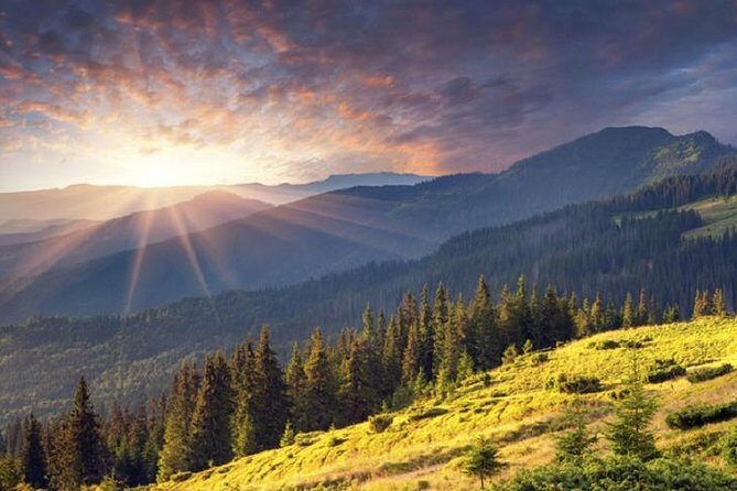 Mt. Vitosha and Boyana Waterfall Hiking Tour from Sofia - The pace question: “moderate” still means work