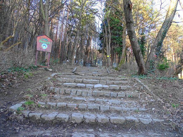 Mt. Vitosha and Boyana Waterfall Hiking Tour from Sofia - Boyana Waterfall: the reset button after the climb