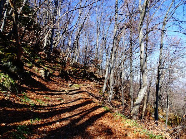 Mt. Vitosha and Boyana Waterfall Hiking Tour from Sofia - Guides and group size: why the people matter here