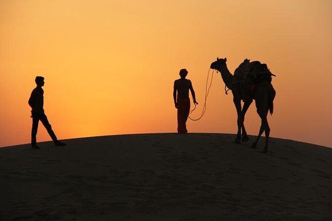 Non Touristic Half Day Camel Safari Thar Desert Sunset - From Jaisalmer-area pickup to the first dune light: what the day really looks like