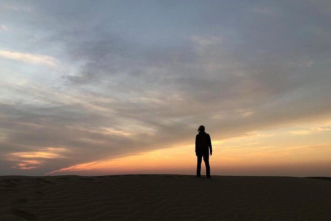 Non Touristic Half Day Camel Safari Thar Desert Sunset - Price and value: why $21.30 can feel too good to be true