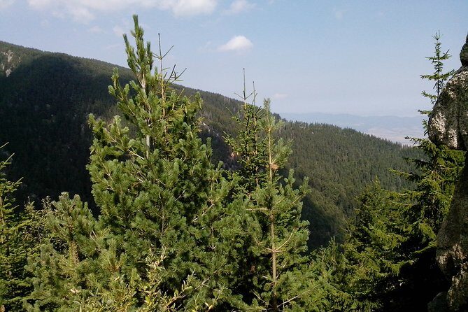 Private Vitosha Mountains Hiking with Black peak & Dragalevtsi Monastery - Private-guided vs self-guided: choose based on how much hassle you want