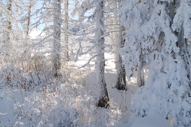 Private Vitosha Mountains Hiking with Black peak & Dragalevtsi Monastery - Is this tour for you? My honest booking advice