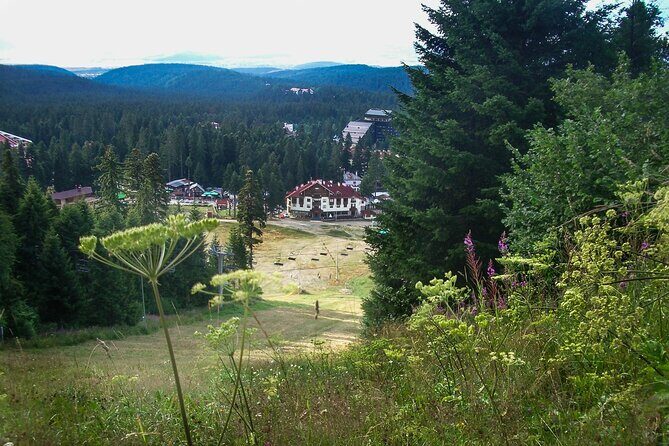 Rila Monastery & Thermae Full-Day Tour from Sofia - A quiet break in Rila National Park: Musala and the high-mountain setting
