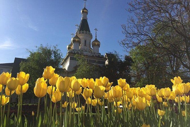 Sofia Walking Private City Tour - Key highlights you should care about