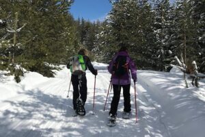 The Best of Bansko: Magical Snowshoeing Adventure & SPA - Getting your snowshoes on: comfort matters more than you think