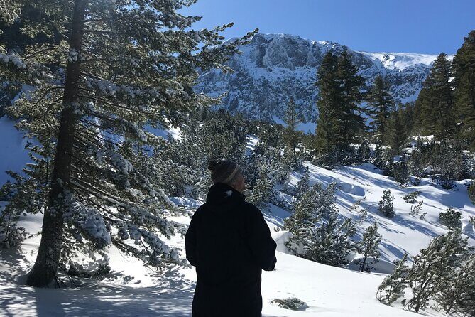 The Best of Bansko: Magical Snowshoeing Adventure & SPA - Dobrinishte mineral pools: the recovery stop that makes sense