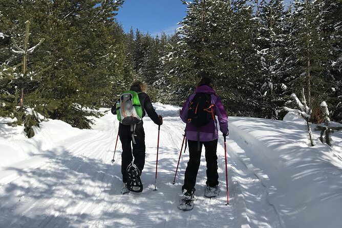 The Best of Bansko: Magical Snowshoeing Adventure & SPA - Getting your snowshoes on: comfort matters more than you think