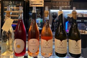Wine and Tapas Boutique Bulgarian Wine Tasting - Step-by-Step: How the Tasting Unfolds (Wine, Tapas, and Small Details)
